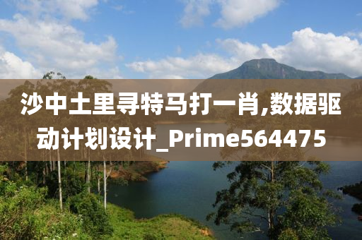 沙中土里寻特马打一肖,数据驱动计划设计_Prime564475