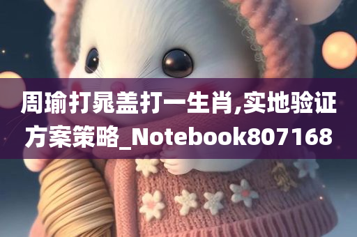 周瑜打晁盖打一生肖,实地验证方案策略_Notebook807168