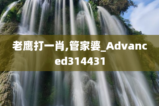 老鹰打一肖,管家婆_Advanced314431