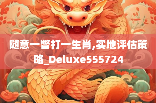 随意一瞥打一生肖,实地评估策略_Deluxe555724