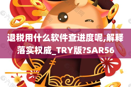 退税用什么软件查进度呢,解释落实权威_TRY版?SAR56