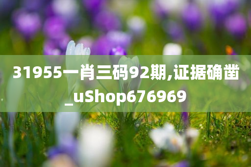 31955一肖三码92期,证据确凿_uShop676969