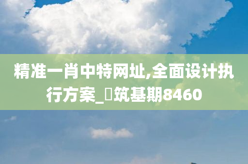 精准一肖中特网址,全面设计执行方案_?筑基期8460