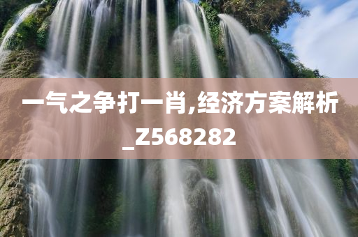 一气之争打一肖,经济方案解析_Z568282