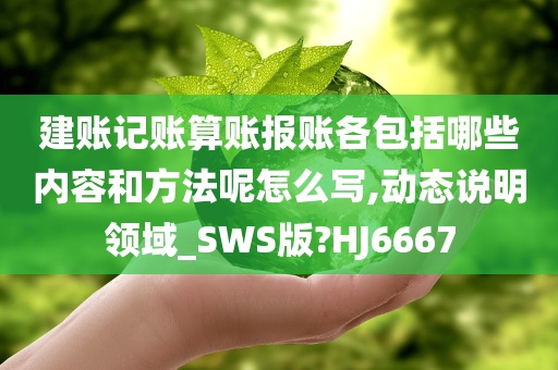 建账记账算账报账各包括哪些内容和方法呢怎么写,动态说明领域_SWS版?HJ6667