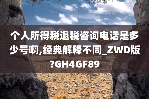 个人所得税退税咨询电话是多少号啊,经典解释不同_ZWD版?GH4GF89