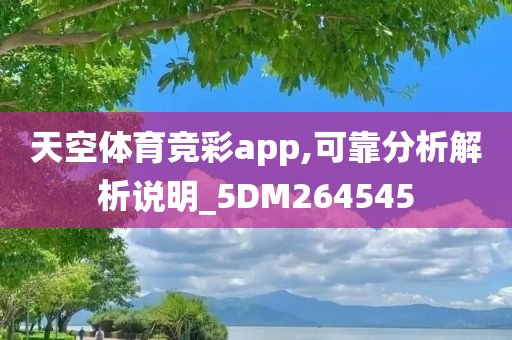 天空体育竞彩app,可靠分析解析说明_5DM264545