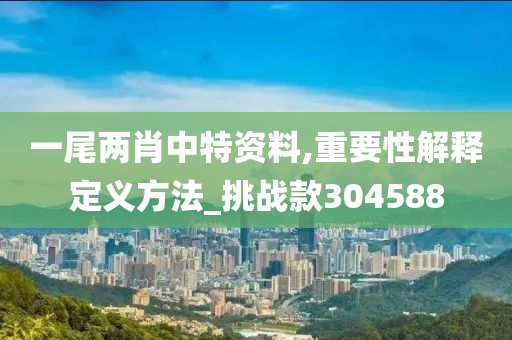 一尾两肖中特资料,重要性解释定义方法_挑战款304588