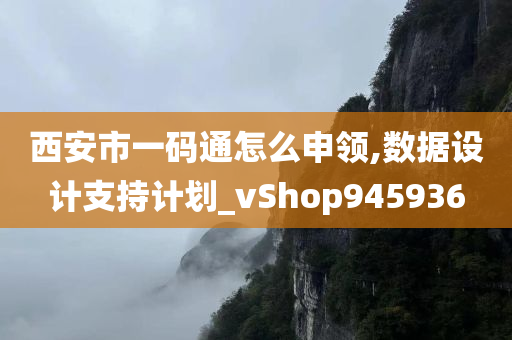 西安市一码通怎么申领,数据设计支持计划_vShop945936