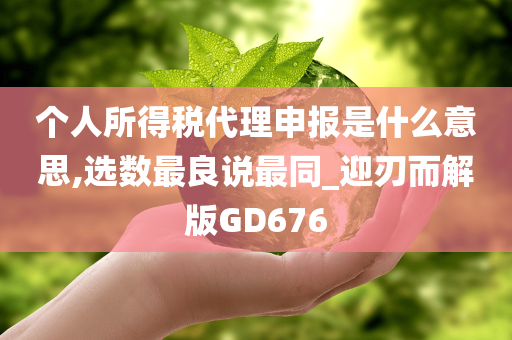 个人所得税代理申报是什么意思,选数最良说最同_迎刃而解版GD676