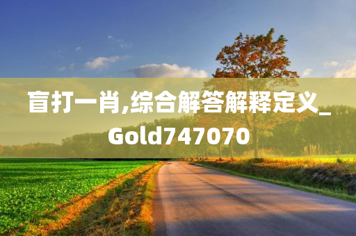 盲打一肖,综合解答解释定义_Gold747070