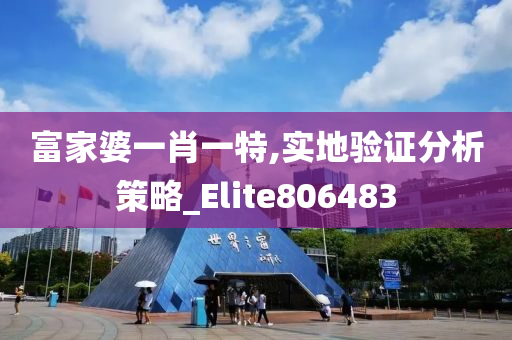 富家婆一肖一特,实地验证分析策略_Elite806483