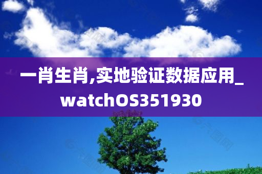 一肖生肖,实地验证数据应用_watchOS351930