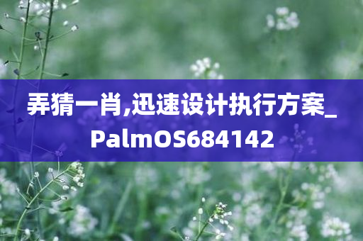 弄猜一肖,迅速设计执行方案_PalmOS684142