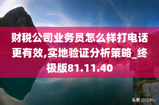 财税公司业务员怎么样打电话更有效,实地验证分析策略_终极版81.11.40