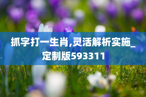 抓字打一生肖,灵活解析实施_定制版593311