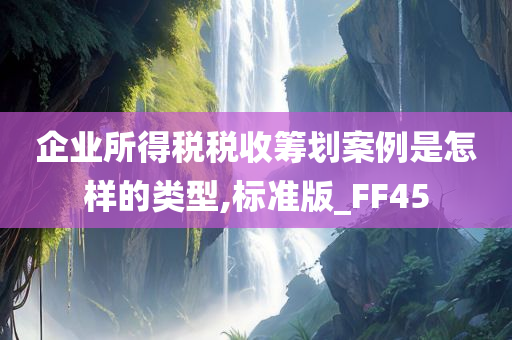 企业所得税税收筹划案例是怎样的类型,标准版_FF45