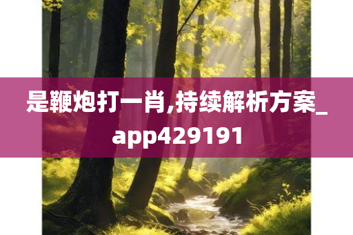 是鞭炮打一肖,持续解析方案_app429191