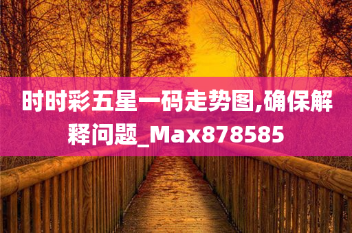 时时彩五星一码走势图,确保解释问题_Max878585