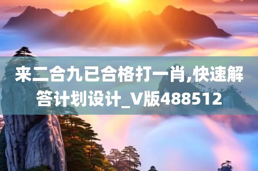 来二合九已合格打一肖,快速解答计划设计_V版488512