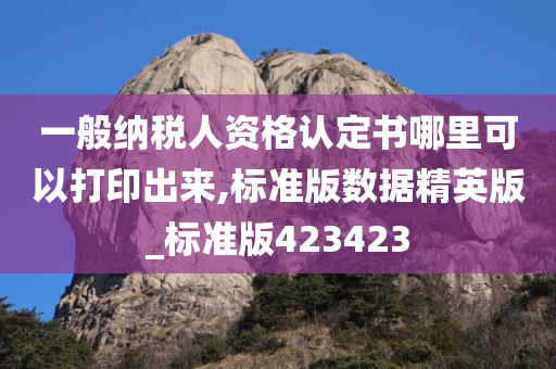 一般纳税人资格认定书哪里可以打印出来,标准版数据精英版_标准版423423