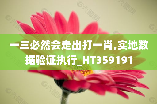 一三必然会走出打一肖,实地数据验证执行_HT359191