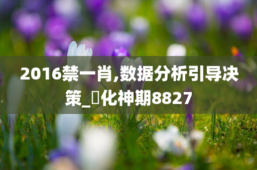 2016禁一肖,数据分析引导决策_?化神期8827