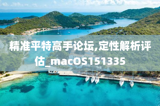 精准平特高手论坛,定性解析评估_macOS151335