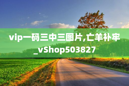 vip一码三中三图片,亡羊补牢_vShop503827