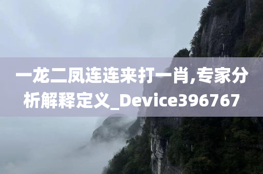 一龙二凤连连来打一肖,专家分析解释定义_Device396767