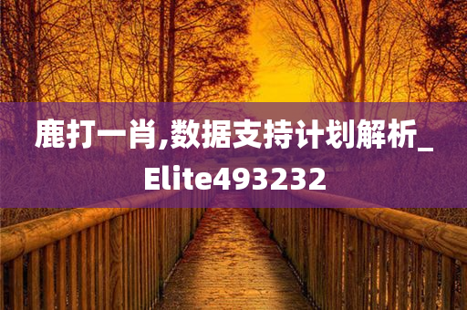 鹿打一肖,数据支持计划解析_Elite493232