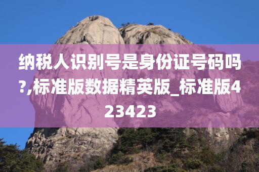 纳税人识别号是身份证号码吗?,标准版数据精英版_标准版423423