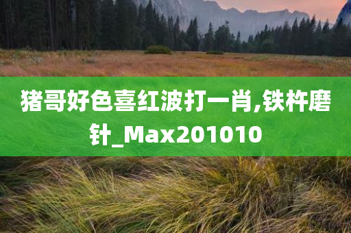 猪哥好色喜红波打一肖,铁杵磨针_Max201010