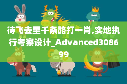 待飞去里千条路打一肖,实地执行考察设计_Advanced308699