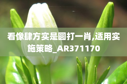 看像肆方实是圆打一肖,适用实施策略_AR371170