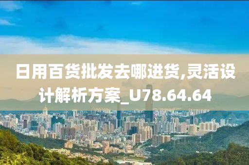 日用百货批发去哪进货,灵活设计解析方案_U78.64.64