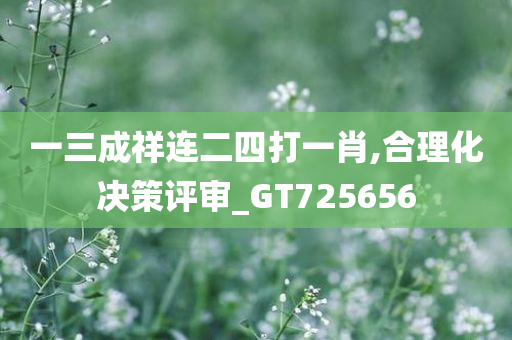 一三成祥连二四打一肖,合理化决策评审_GT725656