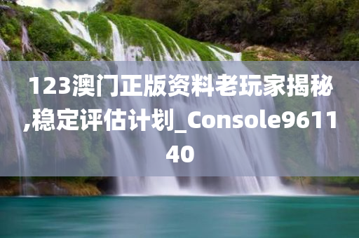 123澳门正版资料老玩家揭秘,稳定评估计划_Console961140