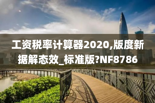 工资税率计算器2020,版度新据解态效_标准版?NF8786