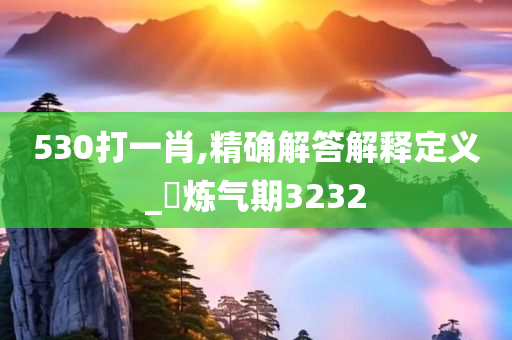 530打一肖,精确解答解释定义_?炼气期3232