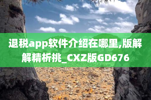 退税app软件介绍在哪里,版解解精析挑_CXZ版GD676