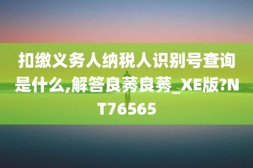 纳税人识别号