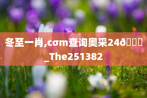 冬至一肖,cσm查询奥采24??_The251382