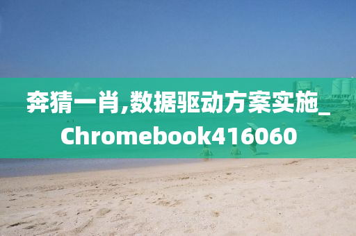 奔猜一肖,数据驱动方案实施_Chromebook416060