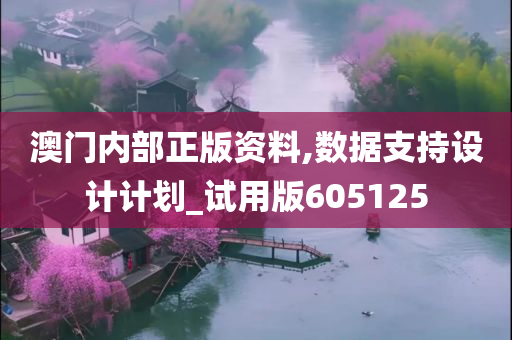 澳门内部正版资料,数据支持设计计划_试用版605125