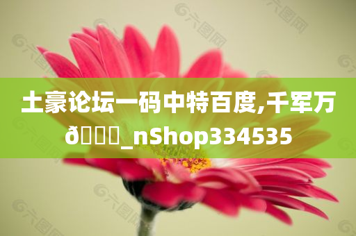 土豪论坛一码中特百度,千军万??_nShop334535