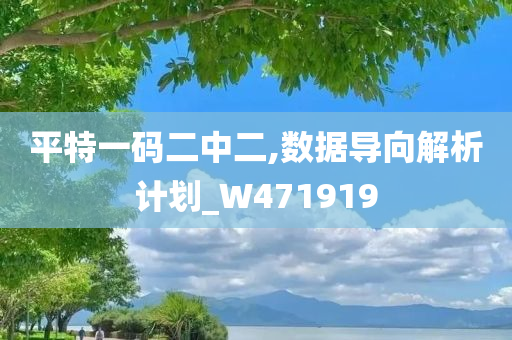 平特一码二中二,数据导向解析计划_W471919