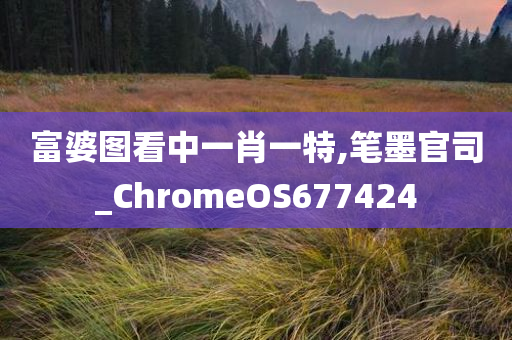 富婆图看中一肖一特,笔墨官司_ChromeOS677424