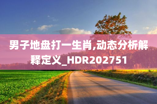 男子地盘打一生肖,动态分析解释定义_HDR202751