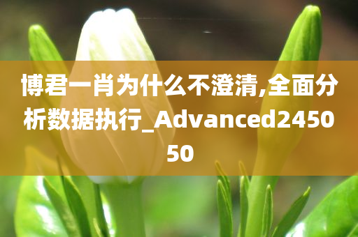 博君一肖为什么不澄清,全面分析数据执行_Advanced245050